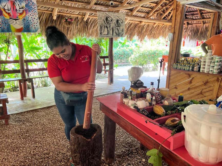 Punta Cana: ATV Tour with Coffee and Chocolate Tasting - Los Hoyos del Salado Cenote Pool: A Real Water Cave Stop