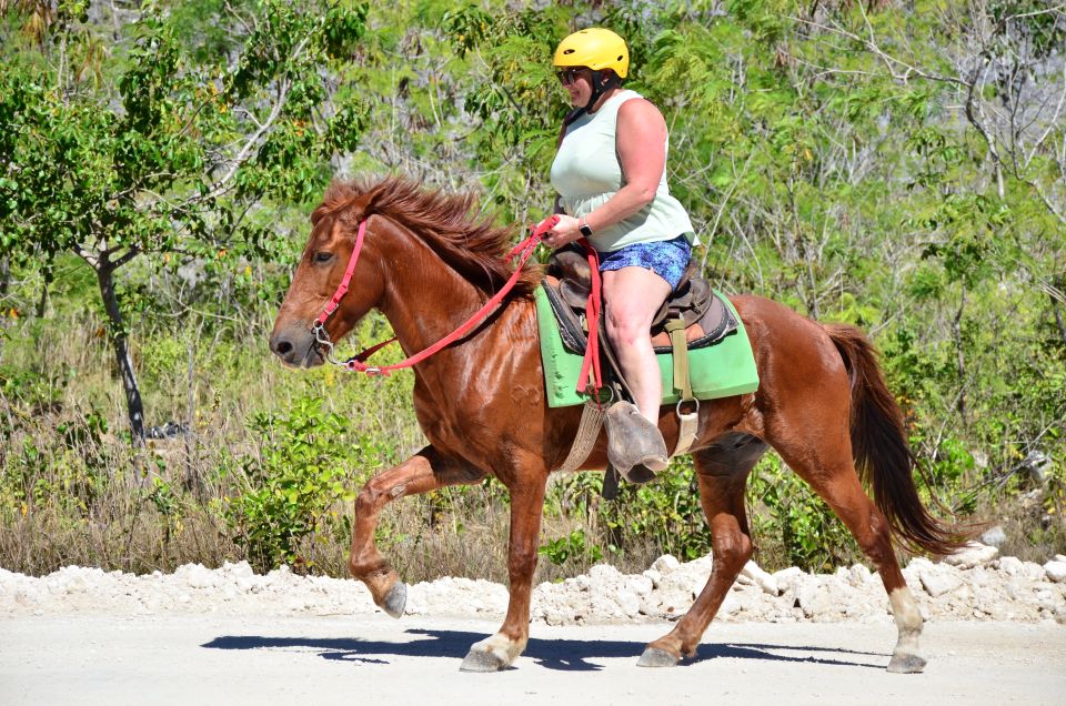 Punta Cana: Bávaro Adventure Park Horse Riding & Waterfalls - Bávaro Adventure Park, Monte Plata: What This Tour Actually Is