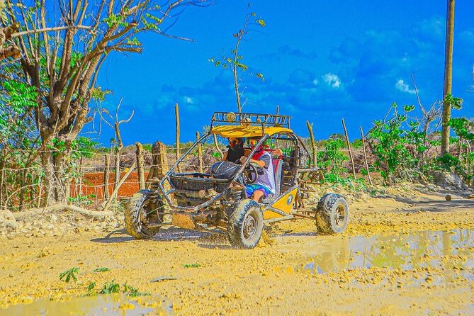 Punta Cana Bavaro Buggy Adventure - Weather, Booking Timing, and How to Pick the Right Day