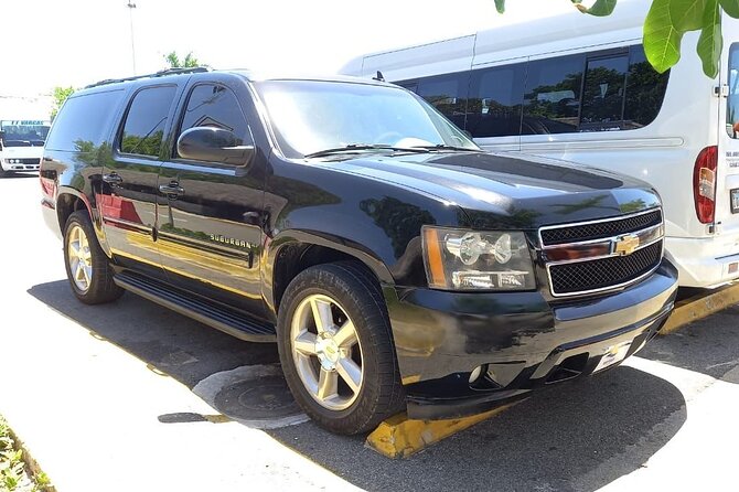 Punta Cana & Bávaro Private Transportation - Culture and Sights Without the Pressure