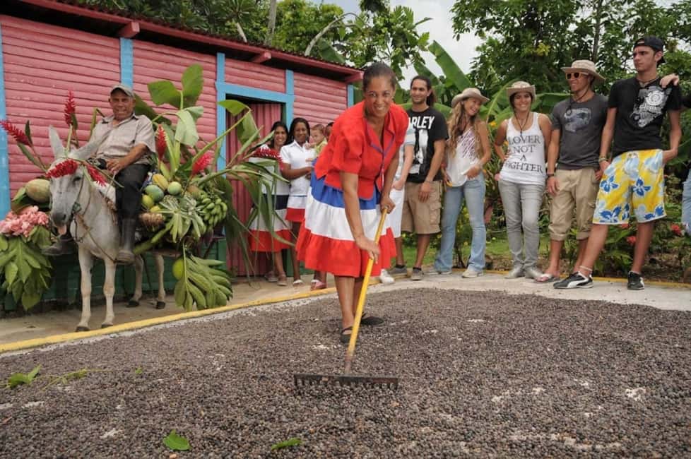 Punta Cana: Bavaro Runners Safari Tour - Sugarcane Plantation: Oxen, Grinding, and the Path to Rum