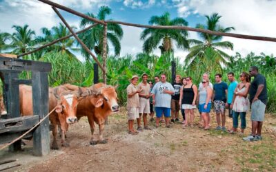 Punta Cana: Bavaro Runners Safari Tour - Pickup, Drive Time, and Why the Full-Day Format Matters