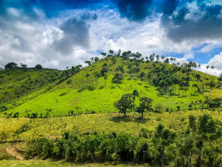 Punta Cana: Bavaro Runners Safari Tour - Horseback Riding Through Dominican Countryside Fields