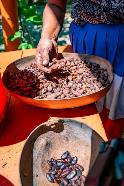 Punta Cana: Bavaro Runners Safari Tour - Lunch in a Dominican Home: Buffet Comfort With a Sweet Finish