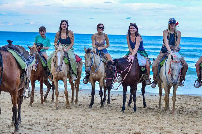 Punta Cana Beach Horseback Ride Paradise Coast Experience - How This Tour Builds a Relaxing Day
