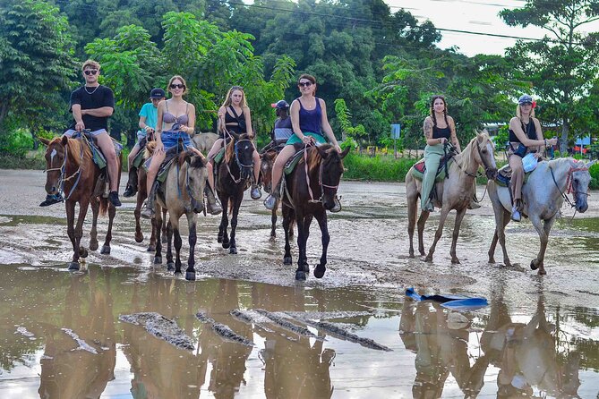 Punta Cana Beach Horseback Ride Paradise Coast Experience - What Makes the Riding Part Actually Beginner-Friendly
