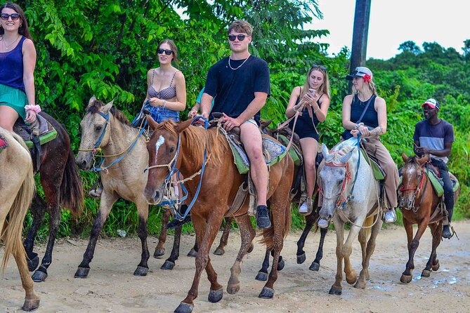 Punta Cana Beach Horseback Ride Paradise Coast Experience - The Quiet Beach Moment: Walking Along the Shoreline