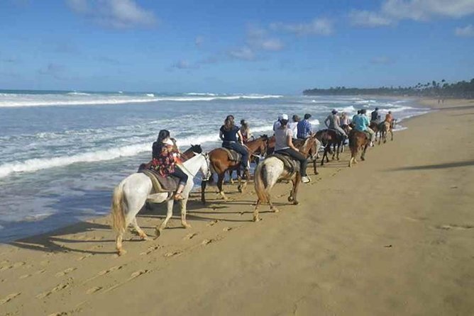 Punta Cana Beach Horseback Riding - Key things I’d bookmark before you go