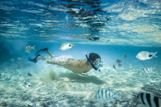 Punta Cana Booze Cruise with Snorkeling, Natural Pool & Open Bar - Key Things I’d Prioritize on This Cruise