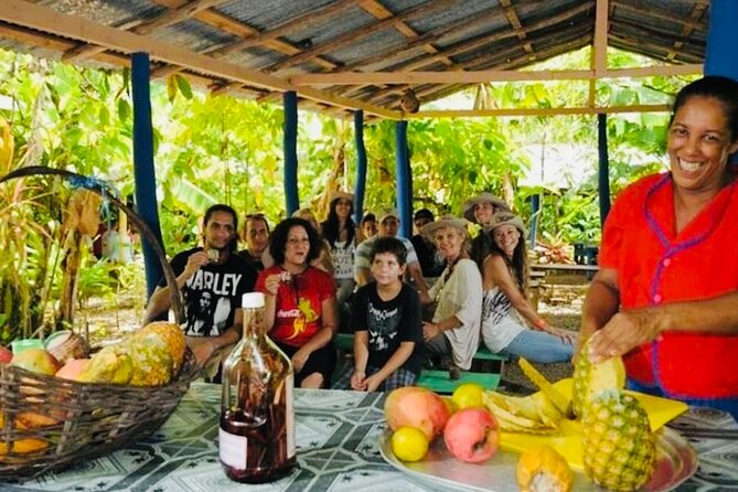 Punta Cana Buggy Adventure - Cacao Production at a Traditional House: Learn Something Real