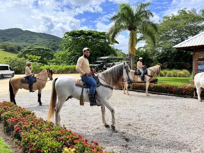 Punta Cana: Buggy and Zipline Adventure at La Hacienda - Punta Cana’s La Hacienda Setup: More Than One Activity