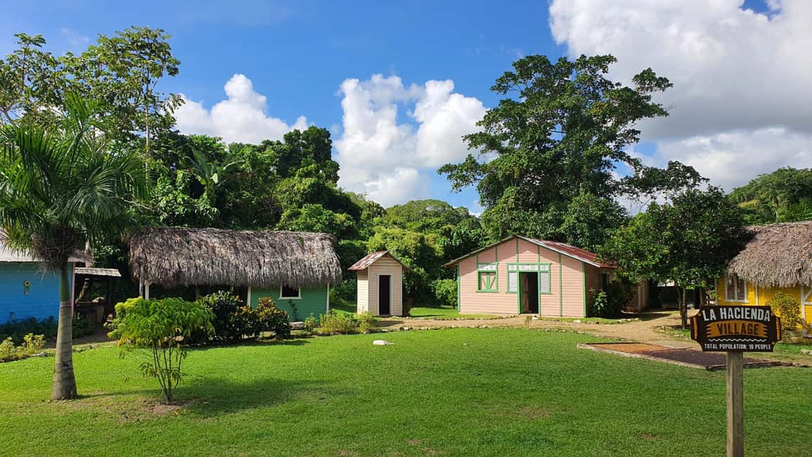 Punta Cana: Buggy and Zipline Adventure at La Hacienda - Cultural Safari: Mamajuana, Coffee, and a True Dominican Buffet