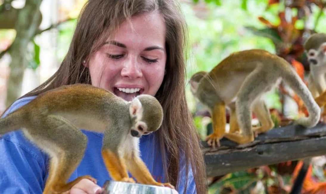 Punta Cana Buggy Tours Cenote Cave, Beach - Panoramic Eastern Mountain Views and Village Life