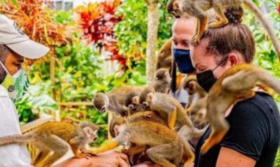 Punta Cana Buggy Tours Cenote Cave, Beach - Casa del Coco and Coconut Oil: Learning That Ends With Tasting