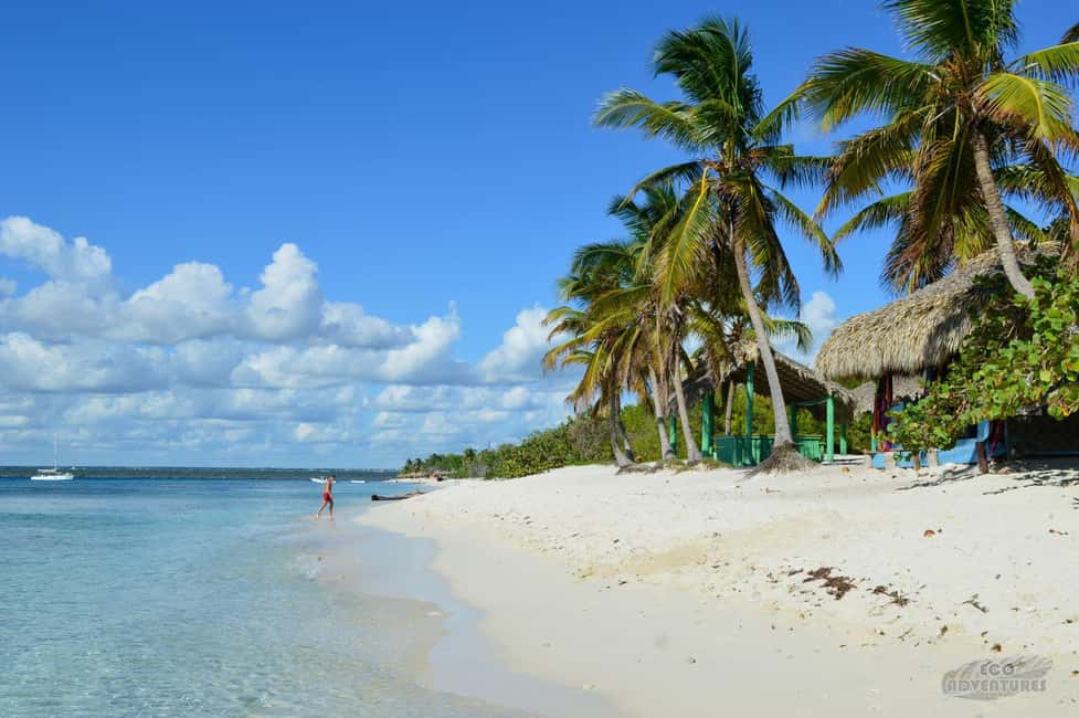 Punta Cana: Catalina Island and Snorkeling with Pickup - The Aquarium: where the underwater life gets more interesting