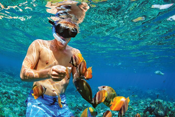 Punta Cana Catalina Island Catamaran Tour Package Deal - The Day Plan: Punta Cana to La Romana to Isla Catalina