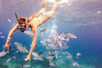 Punta Cana Catalina Island Catamaran Tour Package Deal - Snorkeling at The Wall: What You’ll Actually Do