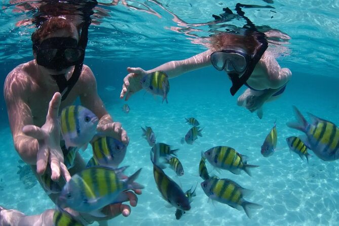 Punta Cana Catalina Island Catamaran Tour Package Deal - The Catamaran Ride: Comfort, Views, and Sea Air