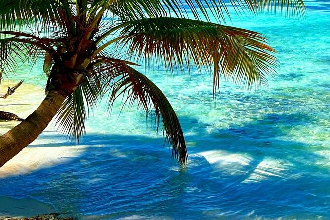Punta Cana Catalina Island Catamaran Tour Package Deal - Who This Tour Fits Best