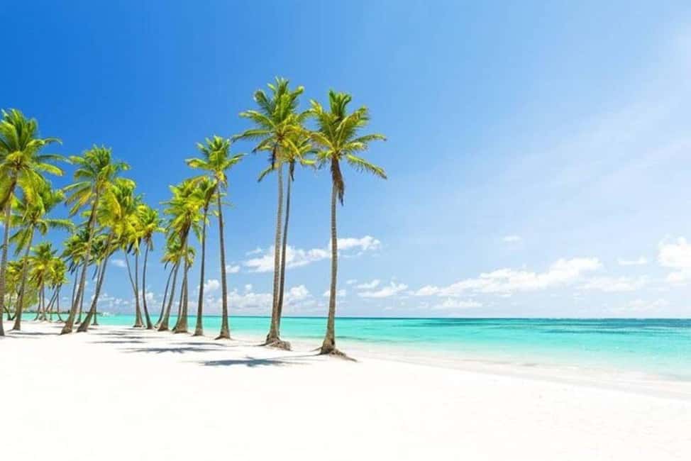 Punta Cana: Catalina Island Classic or VIP Sailing Tour - Key Moments That Make This Tour Worth Your Time