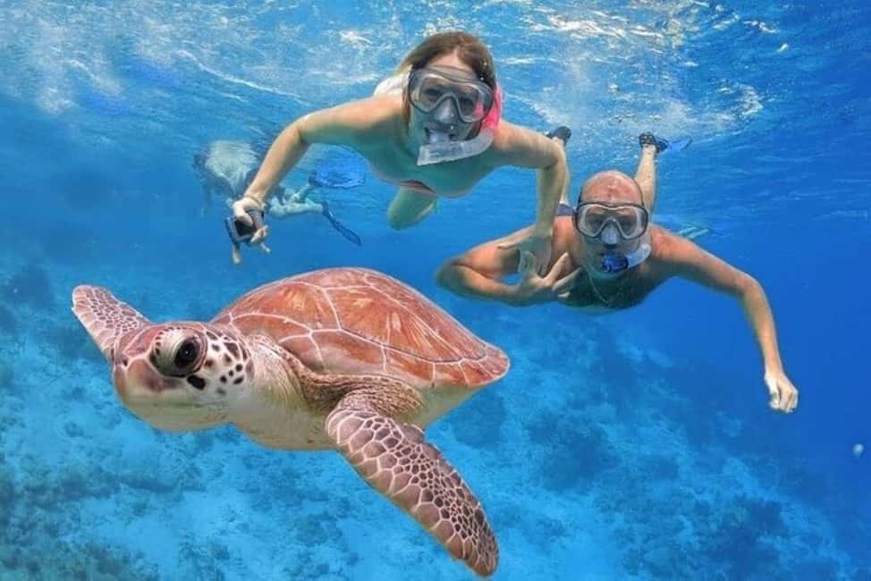 Punta Cana: Catalina Island Classic or VIP Sailing Tour - The Catamaran Sail: Views, Drinks, and the Pace of the Day