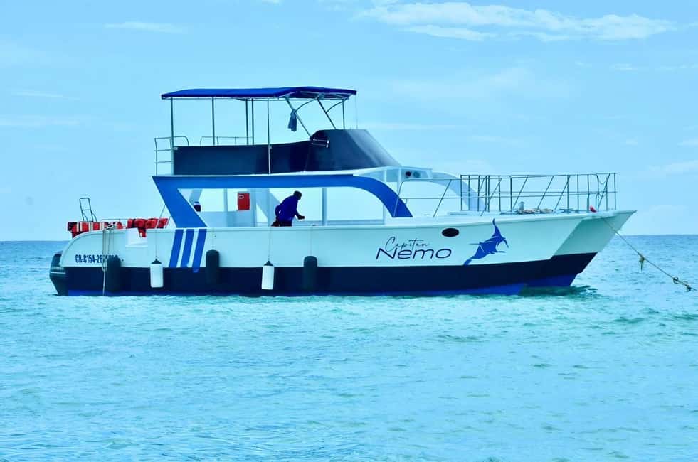 Punta Cana: Catalina Island Day Trip with Snorkeling - Isla Catalina Beach Time: White Sand, Swimming Reality, and How to Make It Work