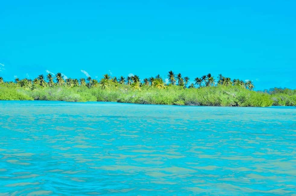 Punta Cana: Catalina Island Day Trip with Snorkeling - Price and Value at $85: What You’re Paying For