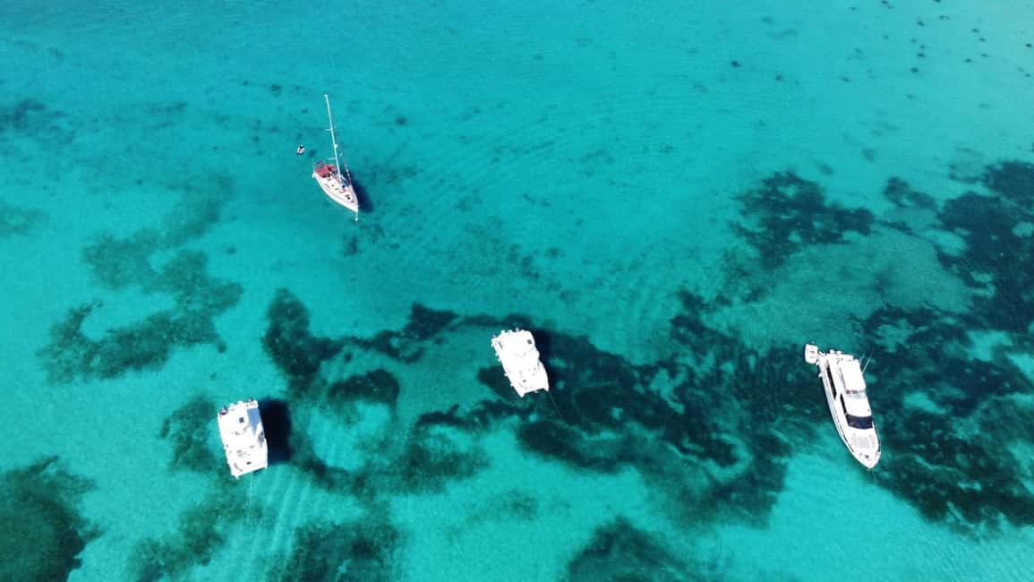 Punta Cana: Catalina Island Snorkeling and lunch Day Trip - Key Points at a Glance