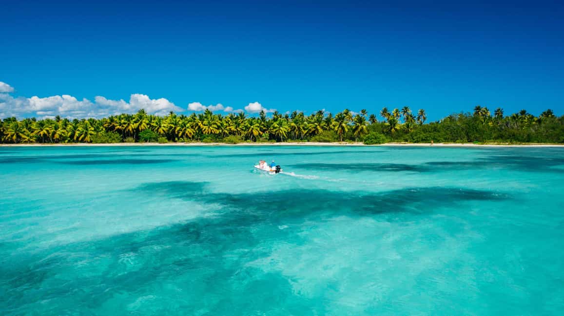 Punta Cana: Catalina Island Snorkeling and lunch Day Trip - Price and Value: Is $83 a Good Deal?