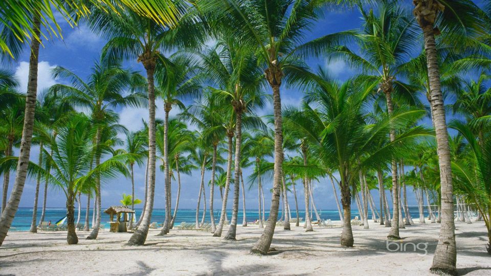 Punta Cana: Catamaran Day Trip to Catalina Island with Lunch - Punta Cana to Catalina: What the full day really feels like