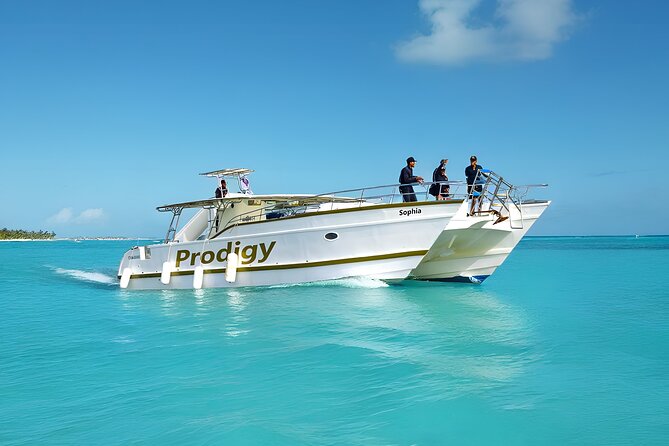 Punta Cana Catamaran Private Tour with BBQ and Natural Pool - Entering The Day: Private Catamaran Basics From Bávaro Beach