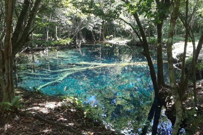 Punta Cana Cenote Hoyo Claro Hiking Tour + Juanillo Beach - Pickup, Timing, and How to Plan Your Day in Punta Cana