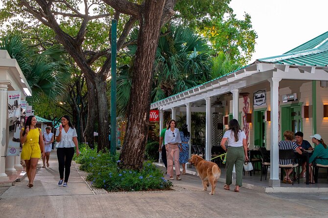 Punta Cana City Tour Explore the Heart of the City - Stop 1: Downtown Punta Cana and the Bávaro Square Area