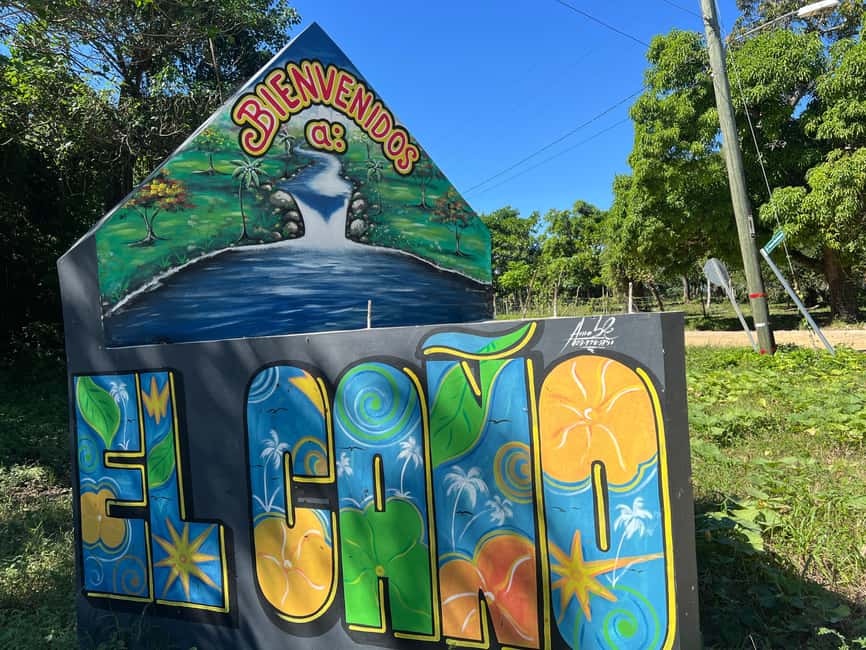 Punta Cana: Coffee Plantation, Chocolate, and Sugar Cane … - Chocolate Hut and Cacao Culture: More Than Just Sweet