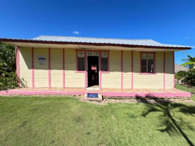Punta Cana: Coffee Plantation, Chocolate, and Sugar Cane … - Coffee Plantation Walk: What You’ll Learn and Taste