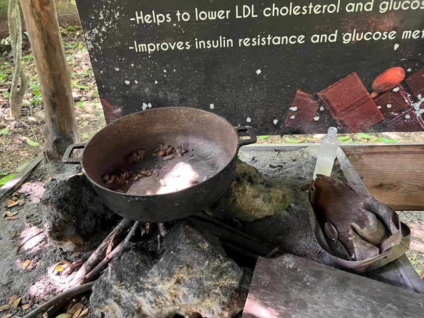 Punta Cana: Coffee Plantation, Chocolate, and Sugar Cane … - Sugar Cane Hut: The Farm-to-Table Side of Sweetness
