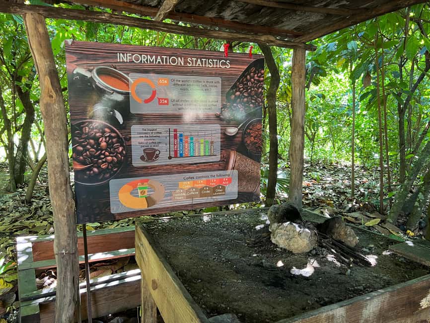 Punta Cana: Coffee Plantation, Chocolate, and Sugar Cane … - Typical Dominican House Visit and Lunch You’ll Actually Remember