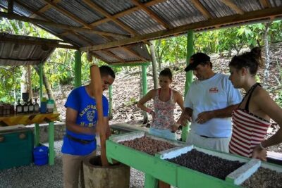 Punta Cana: Cultural half-day tours in the Dominican Republic - Basilica Cathedral of Our Lady of Altagracia: faith, art, and Dominican importance