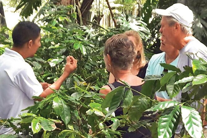 Punta Cana: Cultural half-day tours in the Dominican Republic - Macao Beach: your reward, with time to actually relax