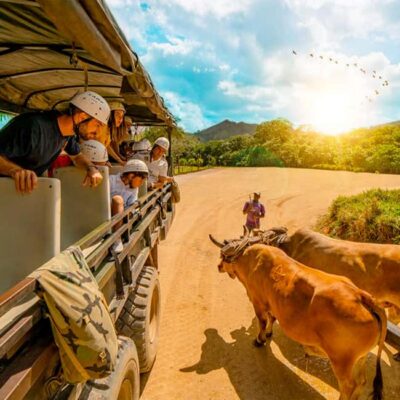 Punta Cana Cultural Tour History and Traditions Small Group - Crafts workshop and authentic Dominican buying: what to expect