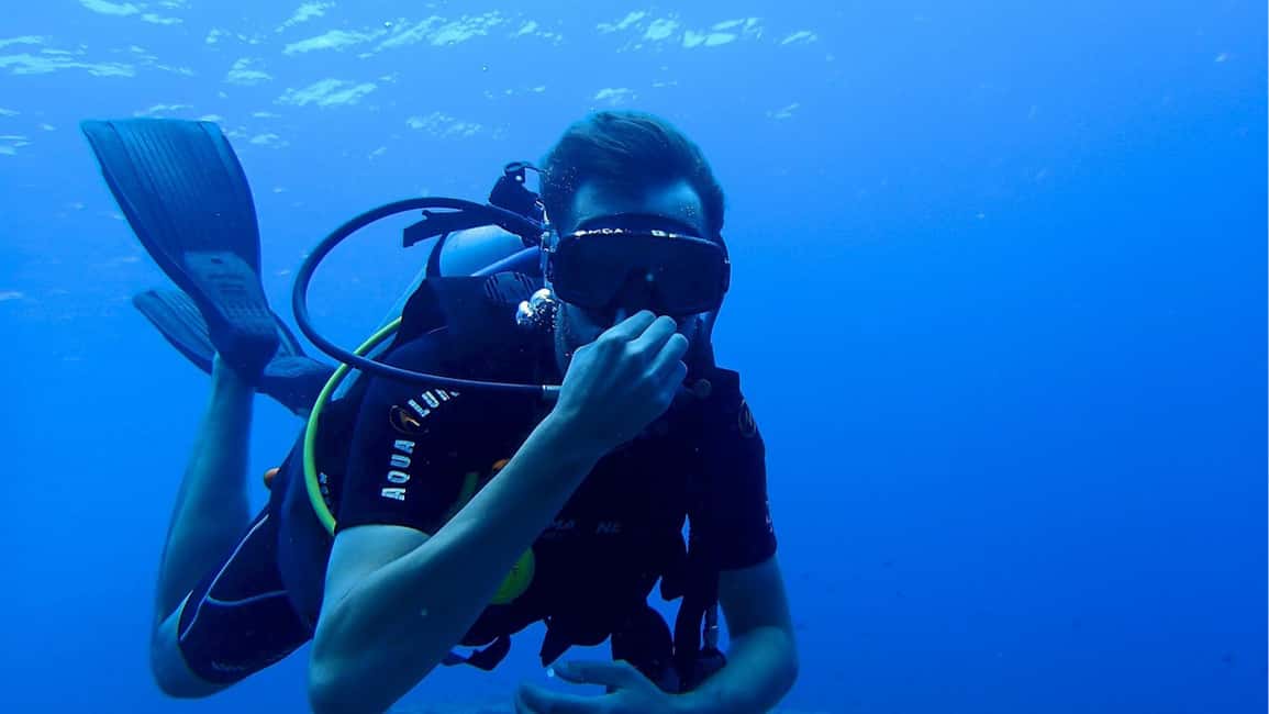 Punta Cana: Dive the Coral Paradise of Catalina Island - What I’d highlight before you go