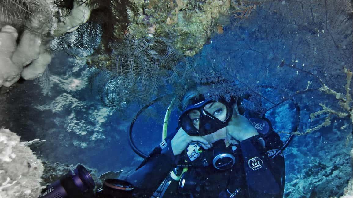 Punta Cana: Dive the Coral Paradise of Catalina Island - Pacing and group size: why waiting can happen, and how to handle it