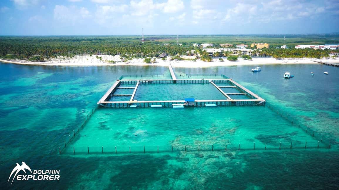 Punta Cana Dolphin Adventure: 40-Minute Interaction - How the 4-Hour Schedule Feels on the Ground