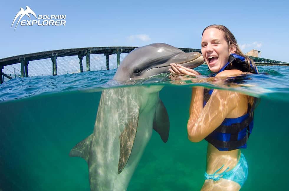 Punta Cana Dolphin Adventure: 40-Minute Interaction - What Happens Before You Get In: The Trainer Briefing