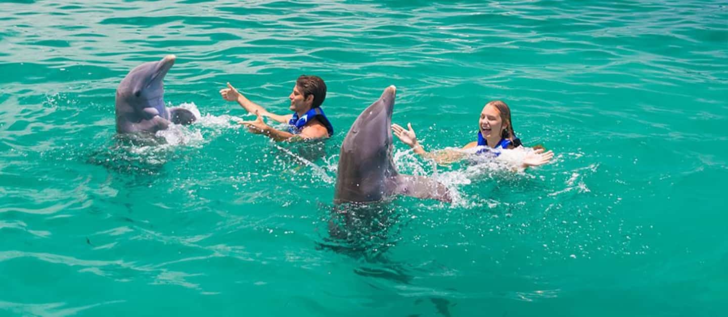 Punta Cana Dolphin Adventure: 40-Minute Interaction - Price and Value: Is $167 Per Person Reasonable?