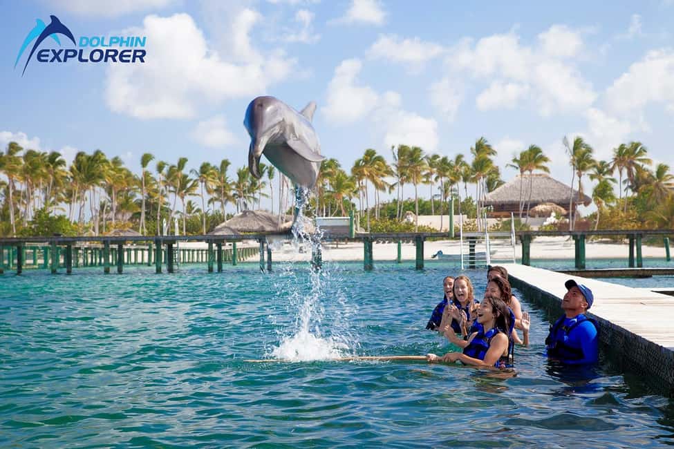 Punta Cana Dolphin Adventure: 40-Minute Interaction - Hotel Pickup in Bavaro, Punta Cana, and Cap Cana: Big Convenience, One Small Watch-Out