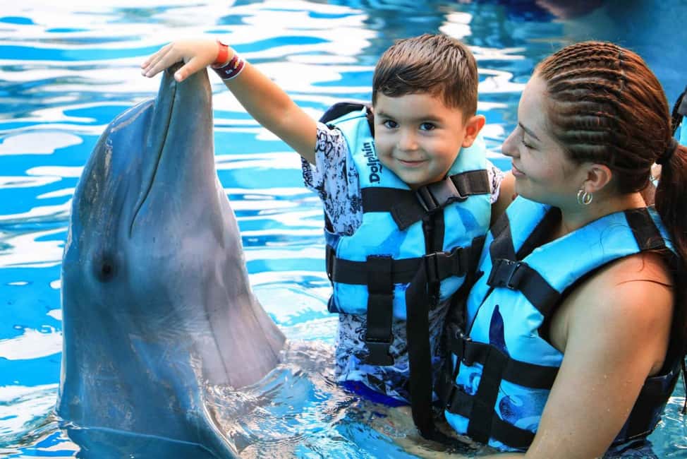 Punta Cana: Dolphin Interaction Experience & Hotel Transfers - Key Things You’ll Notice Before You Go