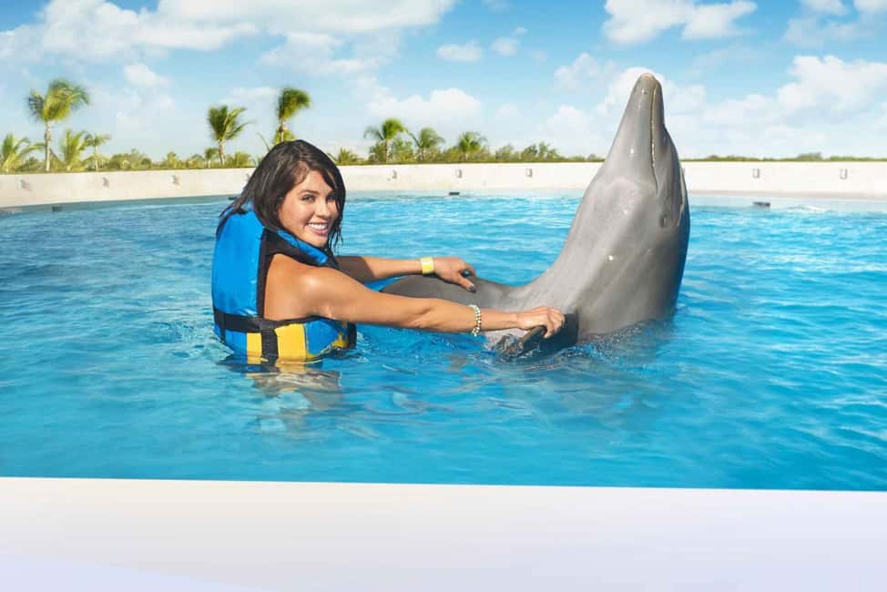 Punta Cana: Dolphin Interaction Experience & Hotel Transfers - Punta Cana Dolphin Timing: How the 4 Hours Really Works