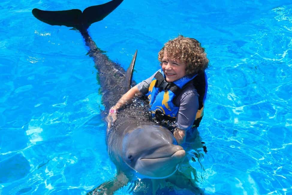 Punta Cana: Dolphin Interaction Experience & Hotel Transfers - The Specialist Part: Anatomy Lessons That Make It Feel Personal