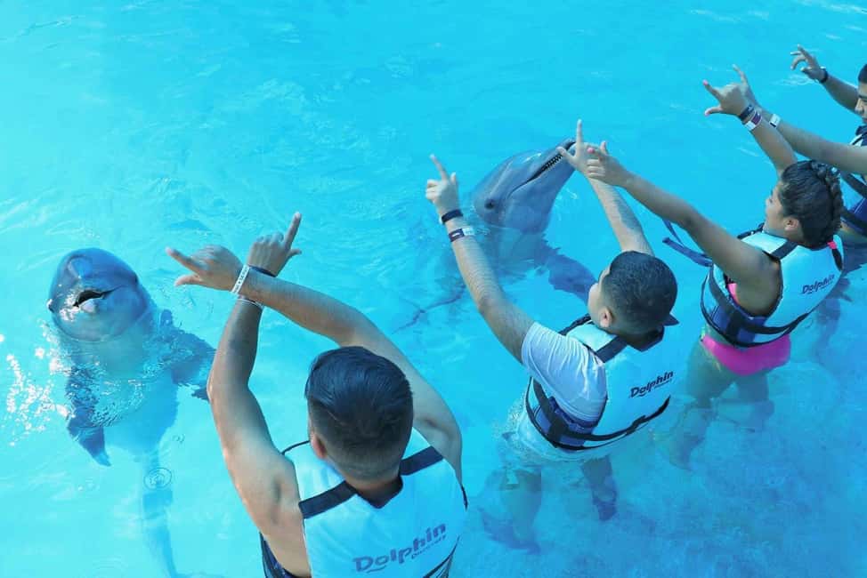 Punta Cana: Dolphin Interaction Experience & Hotel Transfers - Rules That Affect Comfort and Photos (Read This Part)
